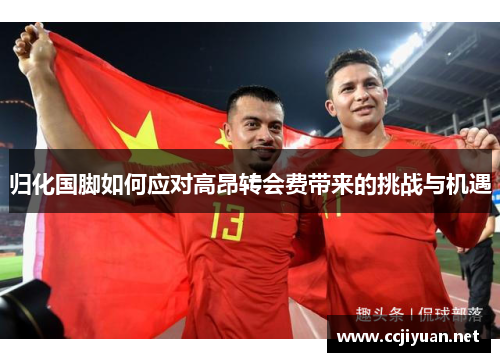 归化国脚如何应对高昂转会费带来的挑战与机遇