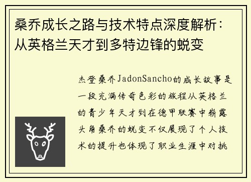 桑乔成长之路与技术特点深度解析:从英格兰天才到多特边锋的蜕变